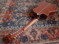 Dangelico Premier Fulton Vintage 12 String (6)